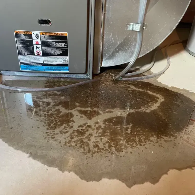 Appliance Leak Cleanup in Girard, OH